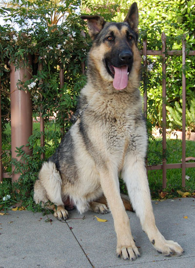 Eli von Emmenthal sitting